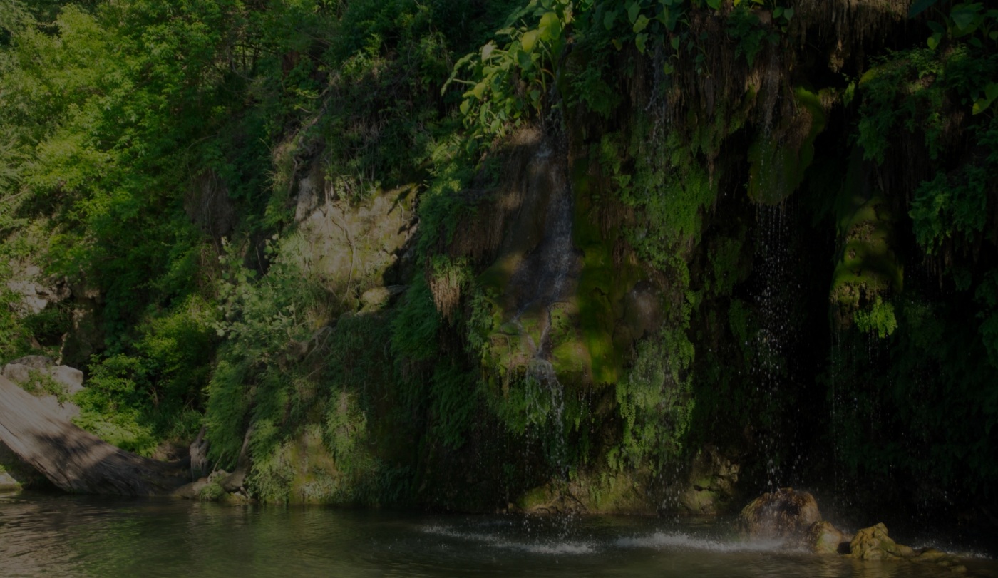 Rock wall covered with trees and moss by a river